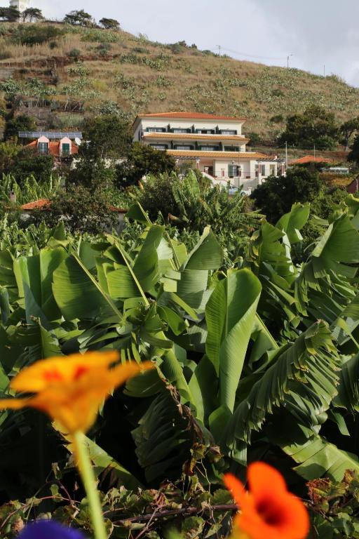Vila Marta Funchal  Eksteriør billede