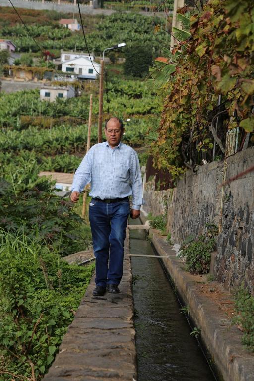 Vila Marta Funchal  Eksteriør billede