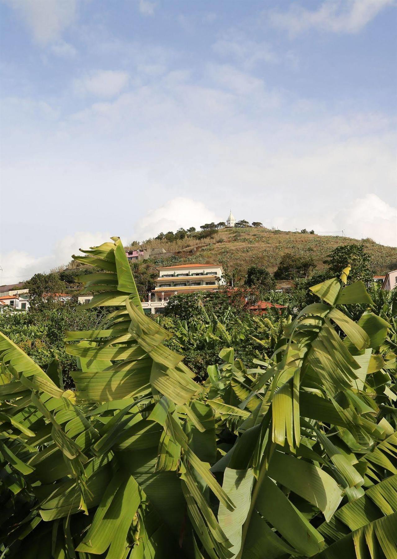 Vila Marta Funchal  Eksteriør billede