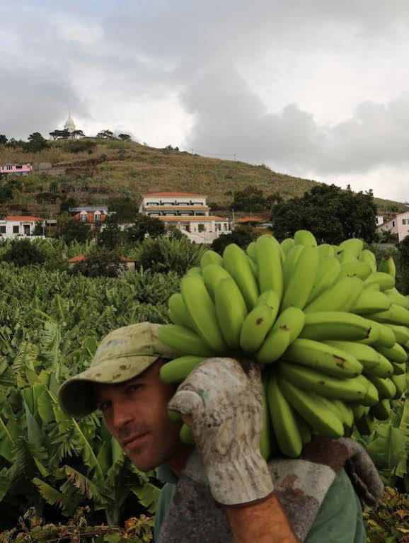 Vila Marta Funchal  Eksteriør billede